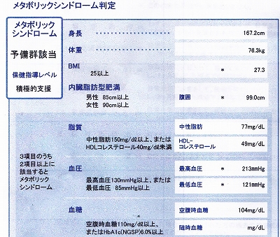 メタボリックシンドローム判定