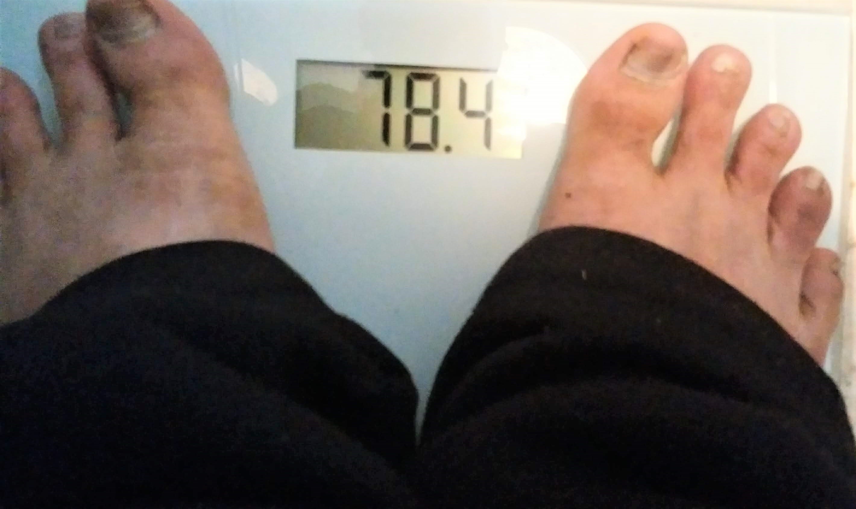 2022年10月15日の体重